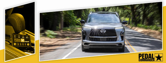 PC51 / Infiniti / QX80 / Z62 Restyling (2018-2024) / (5.6L V8)