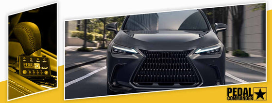 PC55/Lexus/NX/AZ20 (2022+)/(2.4L-2.5L)