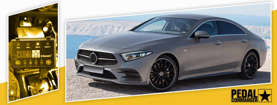 PC202 / Mercedes / Classe CLS / C257 (2018+) / (CLS 450-CLS 53 AMG)