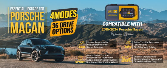 PC09 / Porsche / Macan / 95B (2014-2024) / (2.0L TFSI - 2.9L TFSI V6 - 3.0L TFSI V6 - 3.6L Twin Turbo V6 - 3.0L TDI V6)