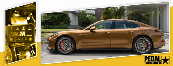 PC09 / Porsche / Panamera / 971 Facelift (2020+) / (3.0L EA839T Turbo V6 - 2.9L Twin Turbo V6 - 4.0L Twin Turbo V8 - 2.9L Plug-in-Hybrid Twin Turbo V6 - 4.0L Plug-in-Hybrid Twin Turbo V8)